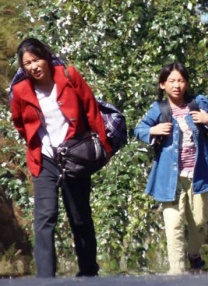 驯服日本的妻子2020